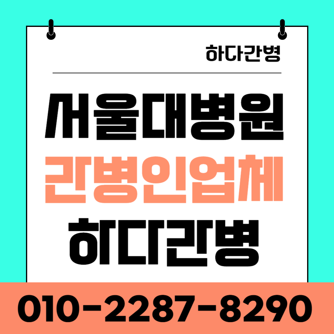 서울대병원 간병인, 서울대병원 간병인업체, 서울대병원 간병업체, 서울대병원 간병인협회, 서울대병원 간병협회, 서울대병원 간병비용, 서울대병원 간병인비용